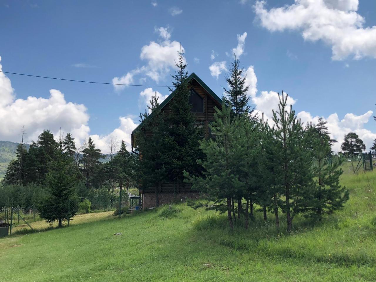 Апартаменти Kuca U Borju - House In Pines Жабляк Екстер'єр фото